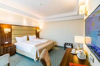 Отель Radsor Hotel Рышнов Стандартный двухместный номер с 1 кроватью или 2 отдельными кроватями-4