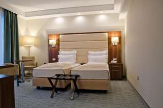 Отель Radsor Hotel Рышнов Стандартный двухместный номер с 1 кроватью или 2 отдельными кроватями-18