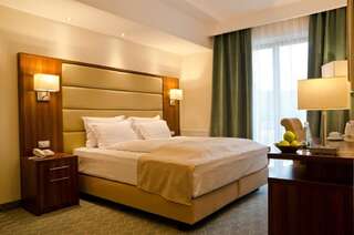 Отель Radsor Hotel Рышнов Двухместный номер с 1 кроватью - Подходит для гостей с ограниченными физическими возможностями-1